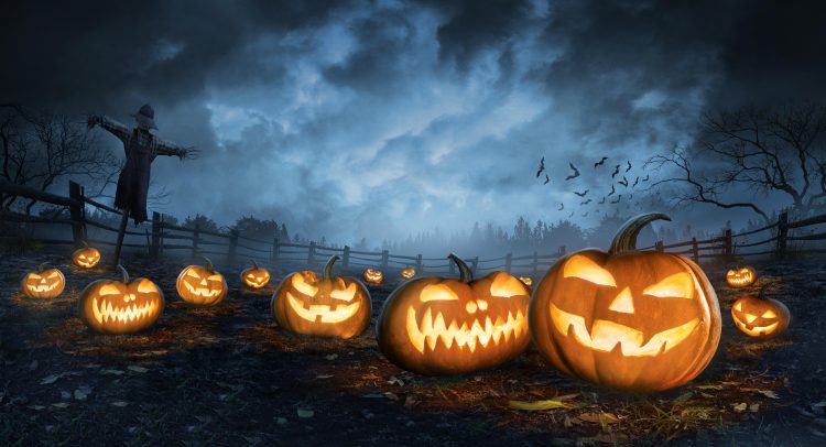 Halloween Offer