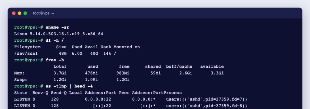 Terminal showing uname, df, free, ss and ps commands on an AlmaLinux 9 server