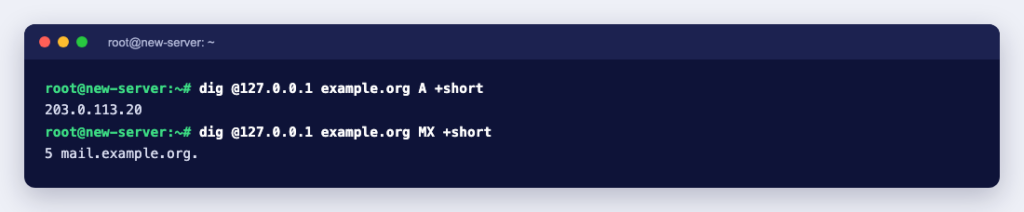 Terminal showing dig on the new server returning the new A record and the MX record for example.org