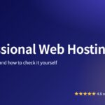 Professional Web Hosting: What It Includes and How to Check