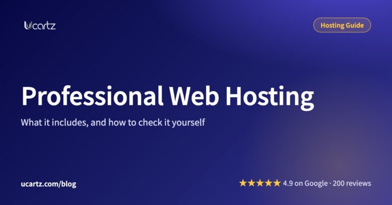 Professional Web Hosting: What It Includes and How to Check