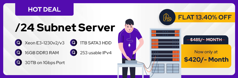 256 IPv4 server offer